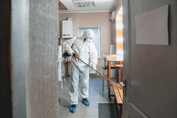 Best Water Damage & Mold Remediation  in Meadow Vista, CA