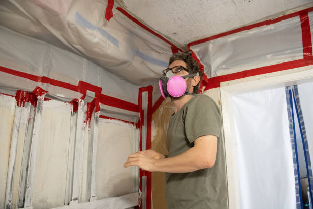 Biohazard Mold Removal in Meadow Vista, CA