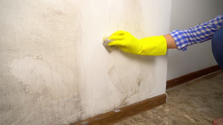 Best Biohazard Mold Removal  in Meadow Vista, CA