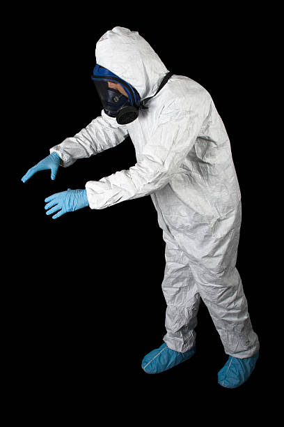Best Crawl Space Mold Remediation  in Meadow Vista, CA