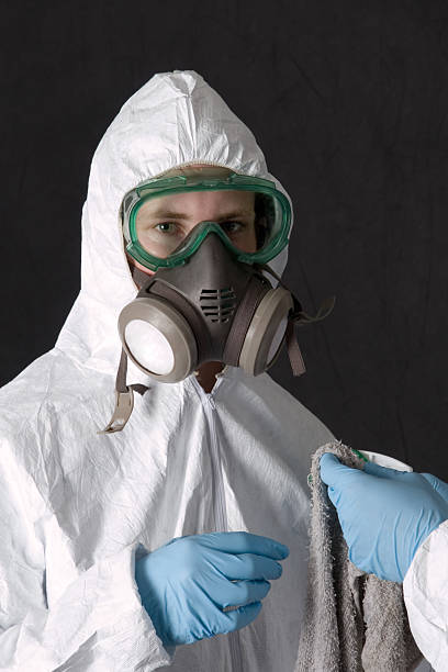 Best Basement Mold Removal  in Meadow Vista, CA